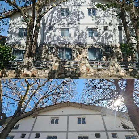 Vama Stone House Hotell Vama Veche
