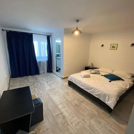 Vama Stone House